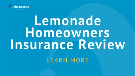 Lemonade Homeowners Insurance Review The Ascent