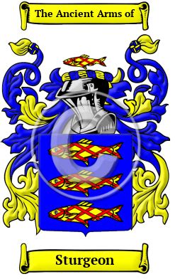 Sturgeon Name Meaning, Family History, Family Crest & Coats of Arms