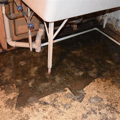 How To Clean Up Basement Sewage Openbasement