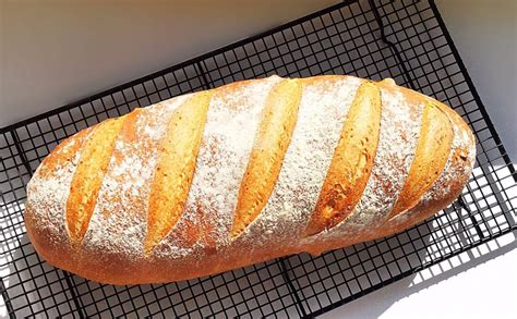 Large White Bloomer Feasting Is Fun