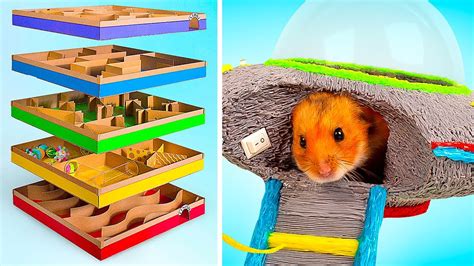 Fun DIY Crafts For Active Hamsters 5 Level Maze And Flying Saucer