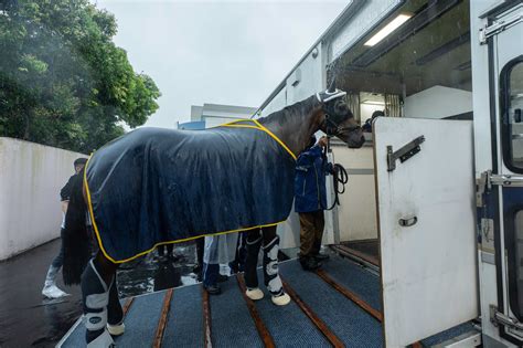 Wellington Heads To Great Britain Racing News The Hong Kong Jockey Club