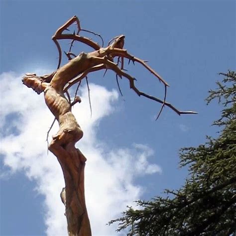 Jesus Carved Out Of Tree Lebanon Christian Prayers Christian Life