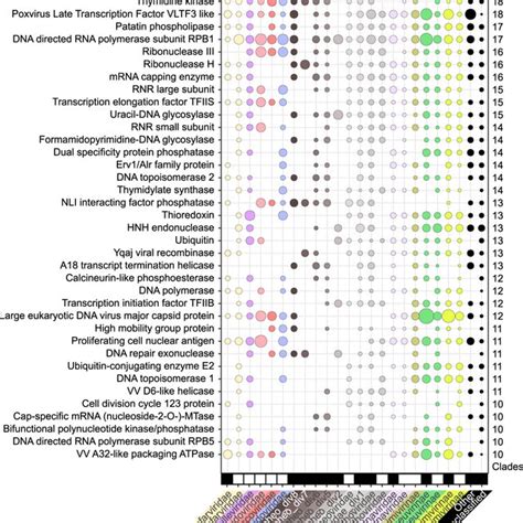 (PDF) Past and present giant viruses diversity explored through ...