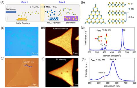 Direct Synthesis Of Monolayer MoS 2 Single Crystals Using CVD Method