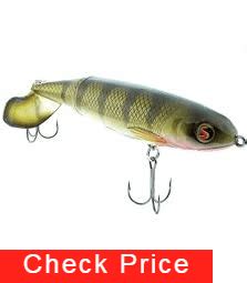 Unleash the Beast: 10 Best Musky Lures You Need to Try NOW!