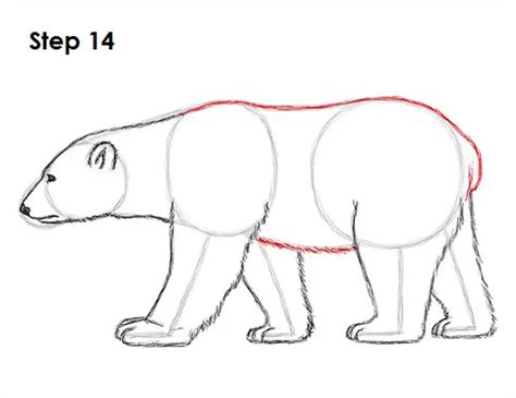 How To Draw A Polar Bear