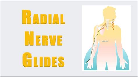 Flossing Exercises For Radial Nerve Entrapment And Radial Tunnel