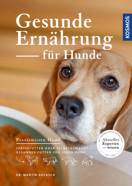 Gesunde Ern Hrung F R Hunde Das Honigh Uschen In Bonn