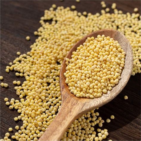 Buy Millet seeds Online | Happy Valley Seeds