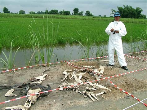 Granjas de cuerpos donde los cadáveres se pudren por la ciencia