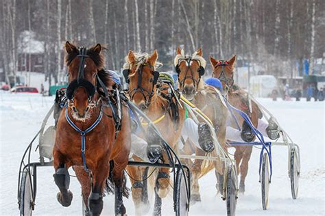 Raviurheilu Mukana Jyväskylän Sm Viikolla Sm Viikko