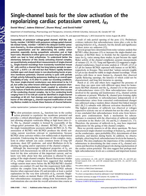 Pdf Single Channel Basis For The Slow Activation Of The Repolarizing