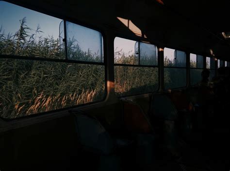 GreenGables 2024 | ВКонтакте
