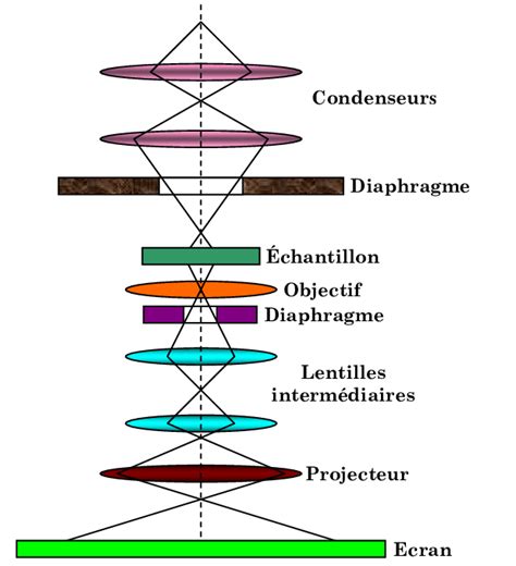 Fig A Sch Ma De Principe D Un Microscope Lectronique En