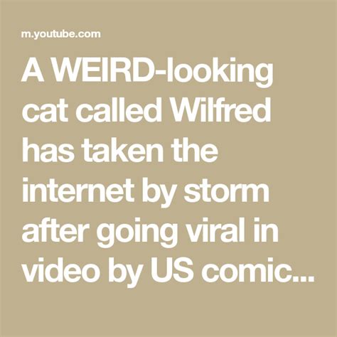 A Weird Looking Cat Called Wilfred Has Taken The Internet By Storm