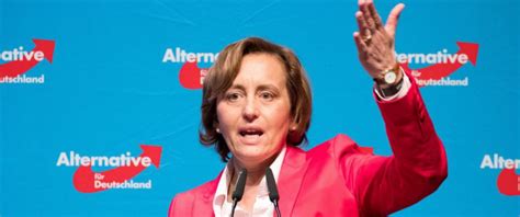 AfD Vize Von Storch Islam Bedeutet Steinzeit JUNGE FREIHEIT