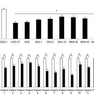 MiR 498 Expressions In GC Cell Lines And Human Tumors A Gene