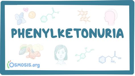 Phenylketonuria Causes Symptoms Diagnosis Treatment Pathology