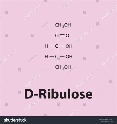 Chiral Molecules Over Royalty Free Licensable Stock Vectors