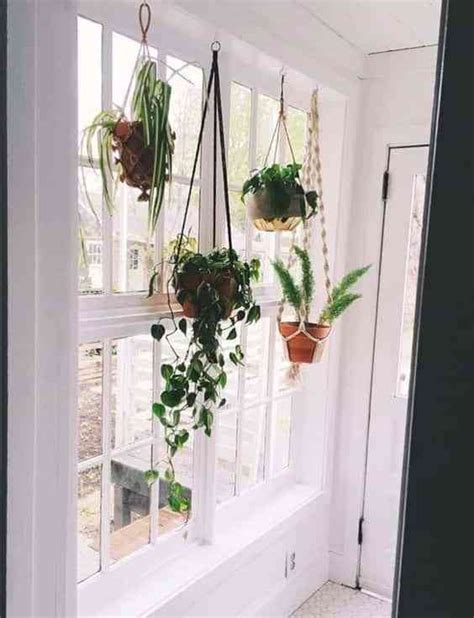 10 Formas De Decorar El Interior De Las Ventanas Con Plantas