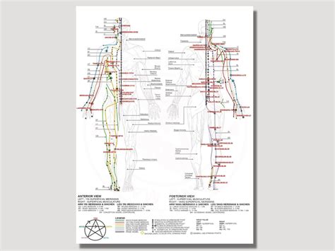 Five Elements Theory Chinese Meridians Chart Acupuncture Printable