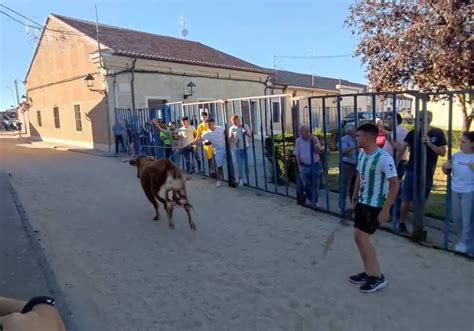 Diversi N Asegurada En Las Fiestas De Tarazona La Gaceta De Salamanca