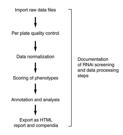 Analysis Steps For A Cell Based Hts Assay The Main Steps In The Download Scientific Diagram