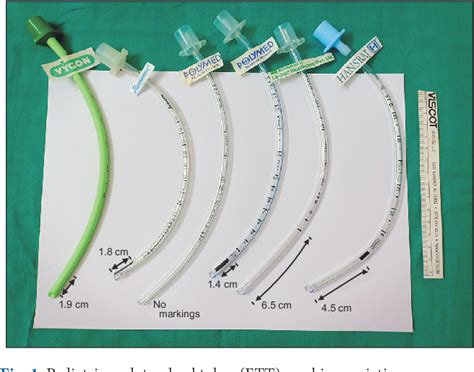 Endotracheal Tubes For Neonates Informacionpublica Svet Gob Gt