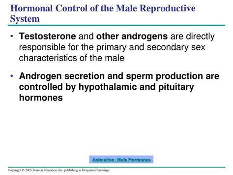 Chapter 46 Animal Reproduction Ppt Download