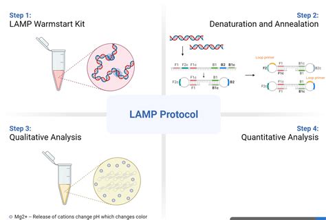 Lamp Protocol