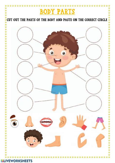 Free Body Parts Worksheets for Preschool - Worksheets Library