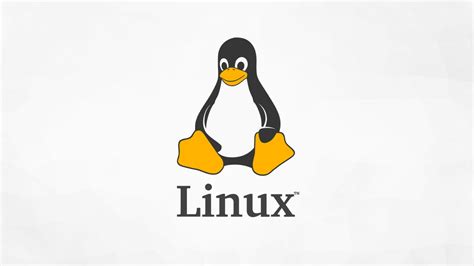 The Best Linux Distros General Purpose