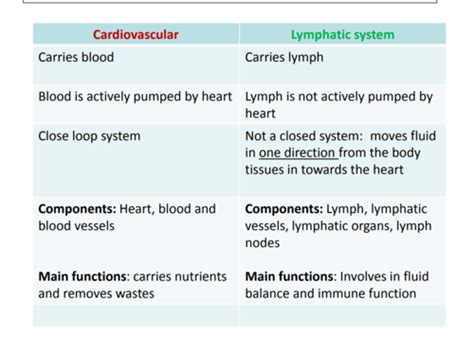 Ch 21 Lymphatic System Flashcards Quizlet