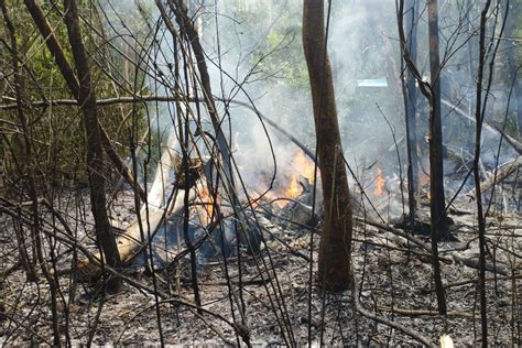 Accidente De Avioneta Cobra 12 Vidas En La Amazonia Brasileña El