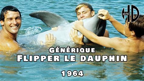 G N Rique De Flipper Le Dauphin Flipper Hd Youtube