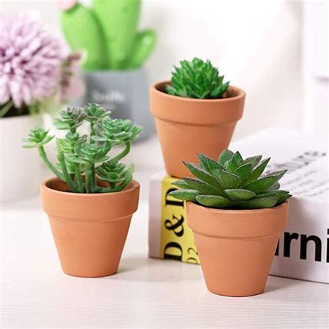 Vaso De Barro Para Suculentas Plantas Cactos Nd Vasos Para Plantas