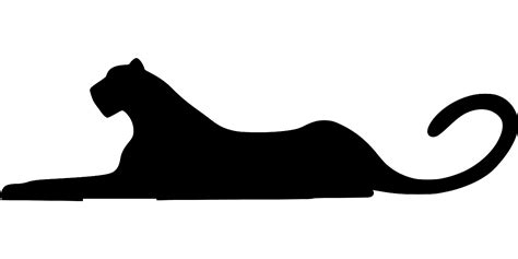 Svg S Ugetier Tier Katze Dschungel Kostenloses Svg Bild Symbol