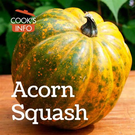 Acorn Squash - CooksInfo