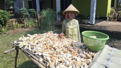 Cerita Mbah Inah Warga Musi Rawas Tetap Setia Produksi Tiwul Makanan