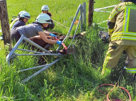 H1 Tierrettung Pferd in Zaun Einsätze Feuerwehr Gemeinde Rheurdt