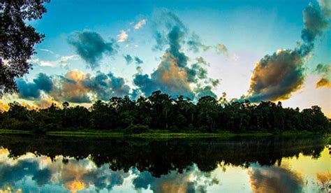 Tour a la Selva del Manu 4 Días 3 Noches Terra Quechua Peru