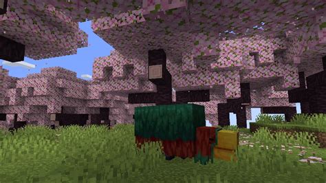 Biome Fleurs De Cerisier Minecraft D Couvrez Ce Nouveau Biome Qui