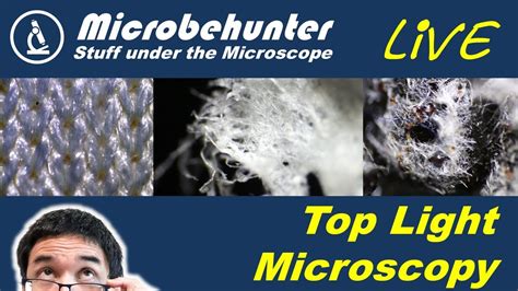 Top Light Microscopy Youtube