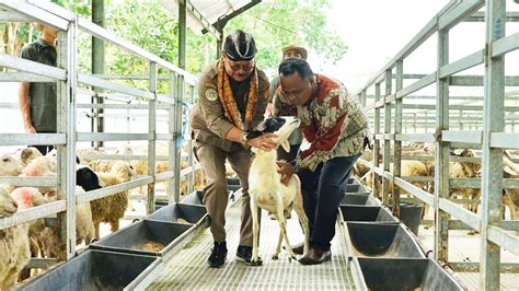 Tingkatkan Ekonomi Kerakyatan Kementan Dorong Setiap Daerah Kembangkan