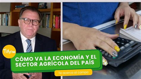 C Mo Va La Econom A Y El Sector Agr Cola Del Pa S Tvagro Por Juan