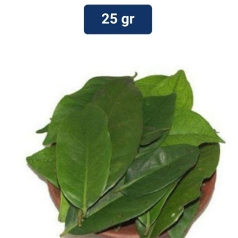 Jual DAUN SALAM SEGAR LANGSUNG PETIK DARI POHON 25G Shopee Indonesia