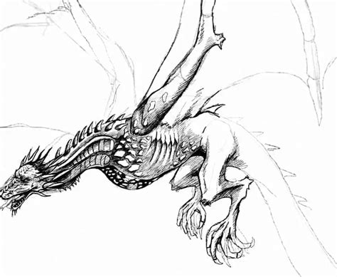 Cool Drawings Of Dragons