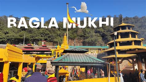 Baglamukhi Mata Temple Himachal Pradesh How To Reach Mata Baglamukhi