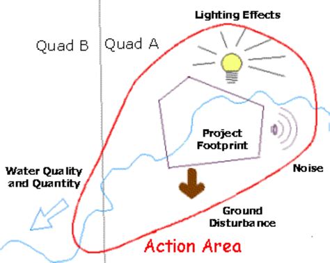 Action Area Fws Gov